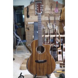 Guitar Custom  D25F
